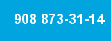 908 873-31-14